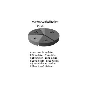 Market Capitalization