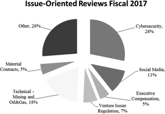 Chart of Issue-Oriented Reviews in fiscal 2017