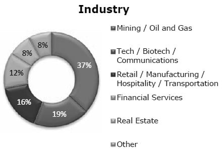 Industry (pie chart)